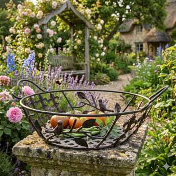 Reizende Pflanzschale Avis mittel ca. 12 - Gartendekoration